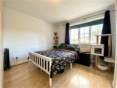 Picture 7